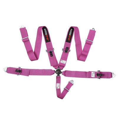 EDDY Purple 5 Pontos Cinturão de Segurança de Corrida SFI Certificado para Carro de Corrida