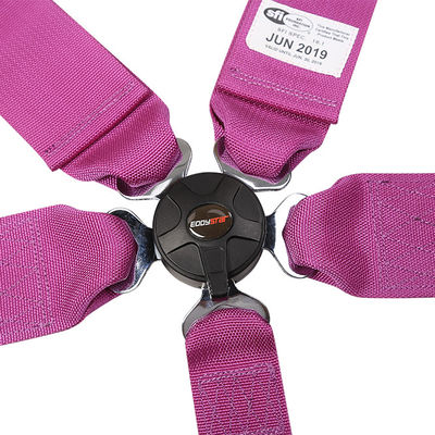 EDDY Purple 5 Pontos Cinturão de Segurança de Corrida SFI Certificado para Carro de Corrida
